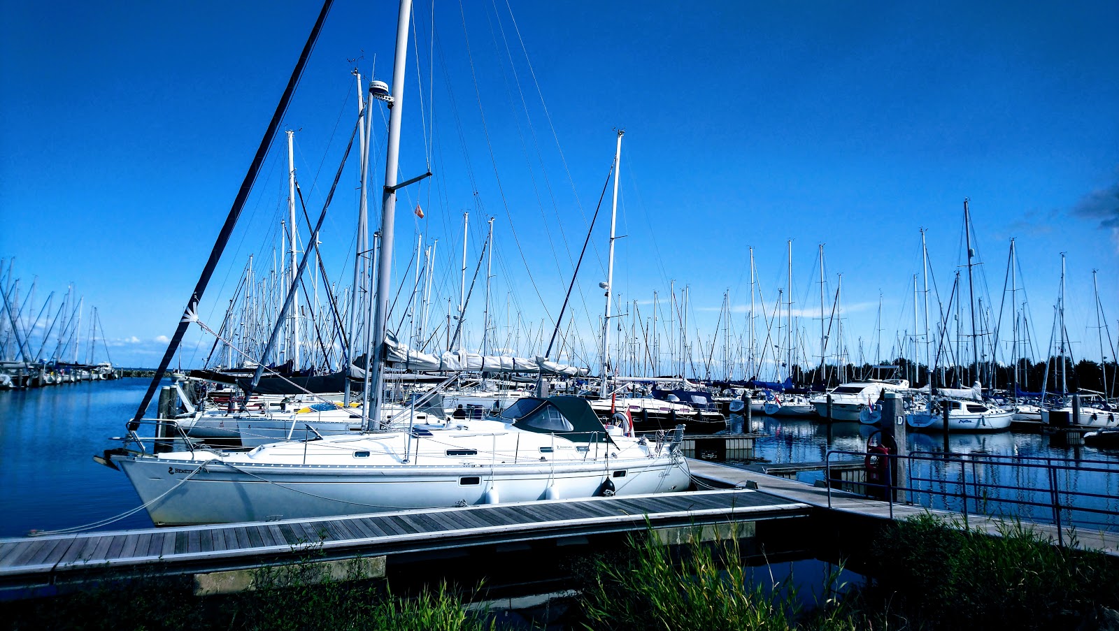 Harbor