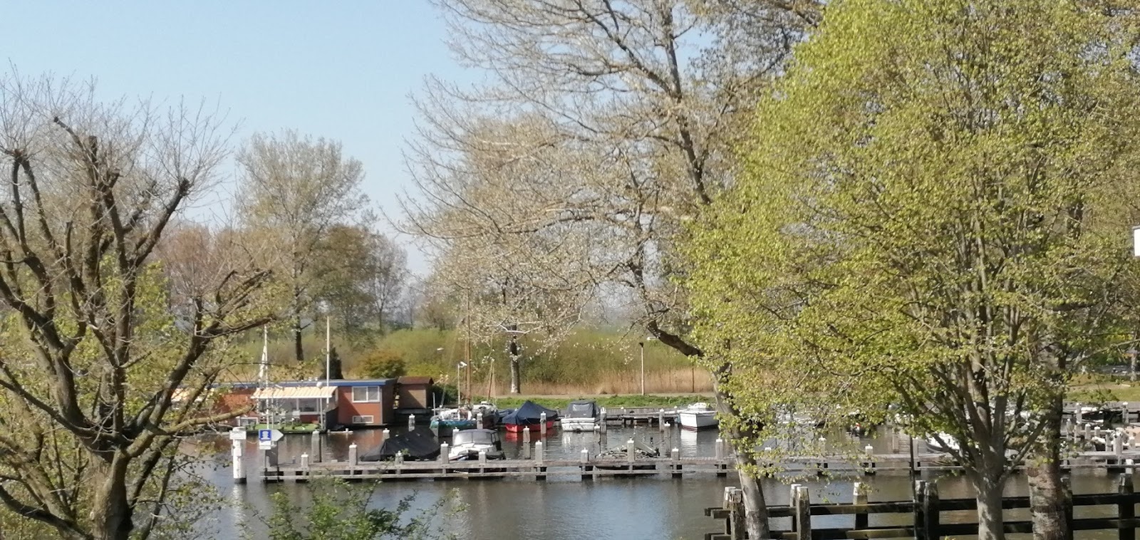 Harbor